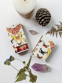 Image 5 of Moth Matchbox