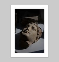 Image 1 of PRINTS - The Planting of a Fig Tree