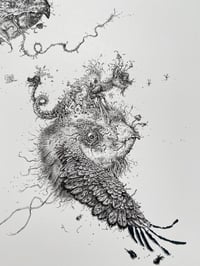 Image 3 of Wild Strawberries - Artwrok