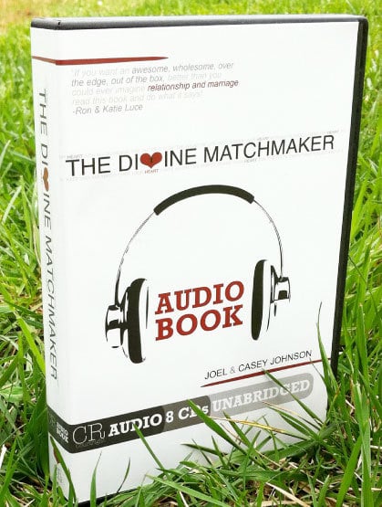 Image of The Divine Matchmaker Audio Book