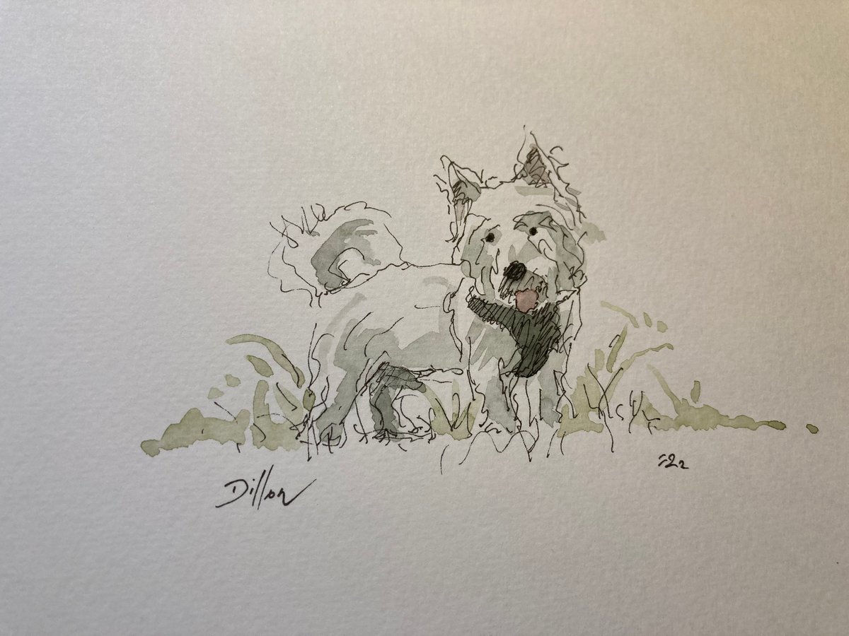 Products | Stephen Hanson Art