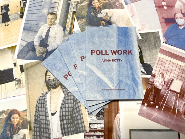 Image of Poll Work by Anna Rotty