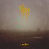 Image 1 of AFSKY "I Stilhed" CD