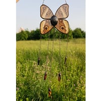 Image 1 of Real butterfly the yellow-edged giant owl / Caligo atreus