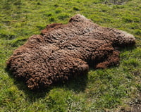 Image 2 of Harting Black Sheepskin #16
