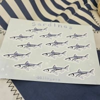 Image 3 of Sardines 💙
