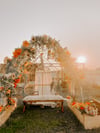 Summer Mini Sessions - Garden Greenhouse 