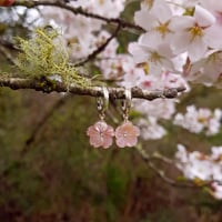 Image 1 of Pink Sakura Huggies | Kazuha (Silver) | SAKURA 2022