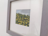 Image 1 of 'GORSE HAZE'