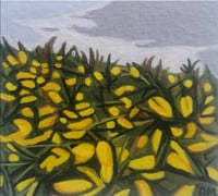 Image 2 of 'GORSE HAZE'