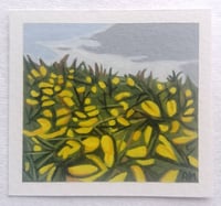 Image 4 of 'GORSE HAZE'