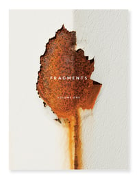 Image 1 of Fragments Vol. 1 - Iain Sarjeant