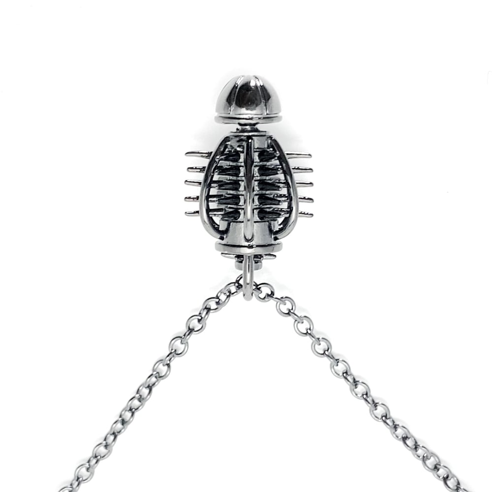 π°πππππ ππππππππ