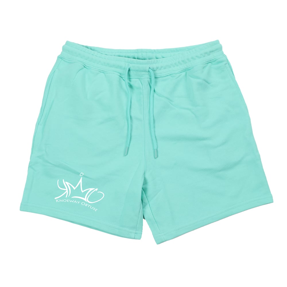 Image of Mint French Terry Shorts