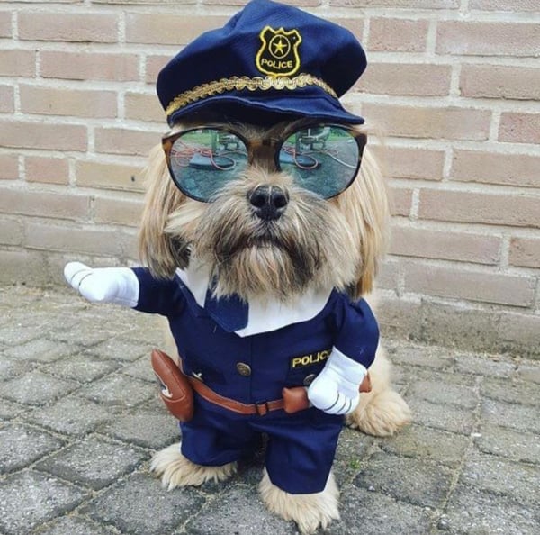 Image of Police Dog Costume [ Fluidlyfe ]