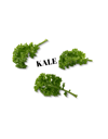 Slow Cooked Kale