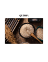 Quinoa