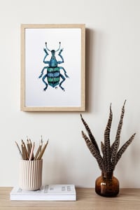 Image 5 of Weevil Beetle Watercolor Illustration PRINT 