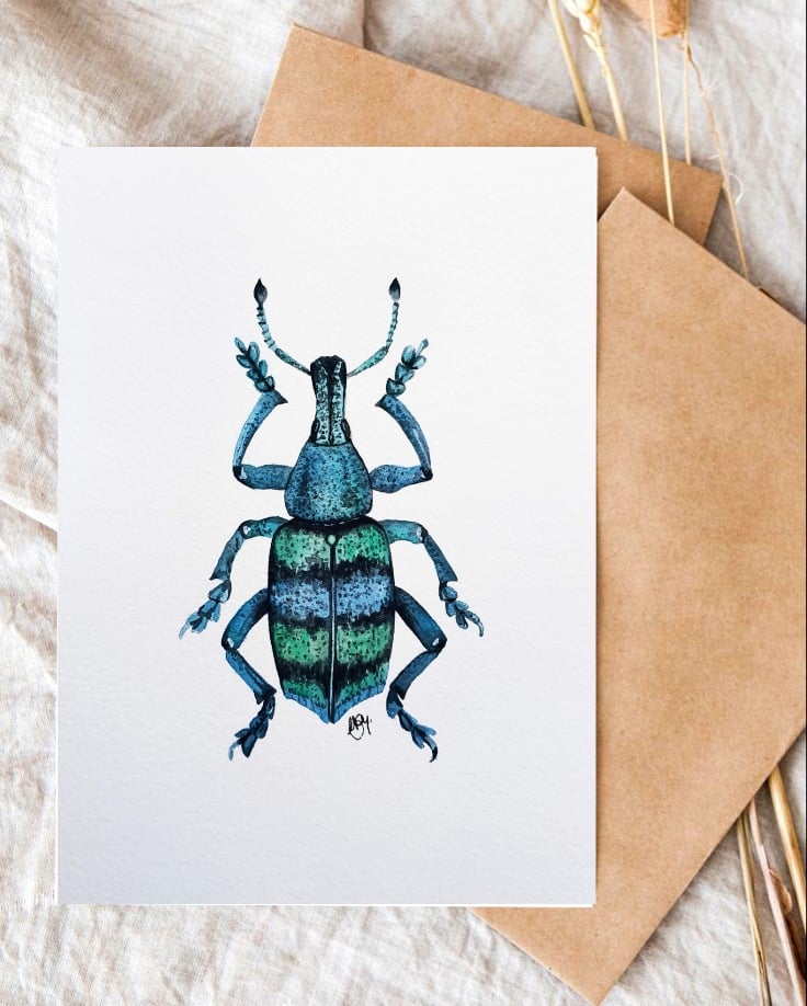 Image of Weevil Beetle Watercolor Illustration PRINT 