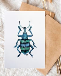 Image 4 of Weevil Beetle Watercolor Illustration PRINT 