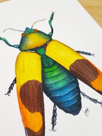 Image 4 of Jewel Beetle Watercolor Illustration PRINT