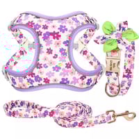Purple Daisy Flower Dof collar harness leash