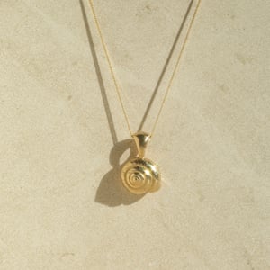 Image of Baby Spiral Shell Necklace