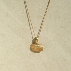 Image of Cockle Shell Necklace