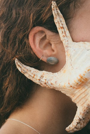 Image of Cockle Shell Earrings