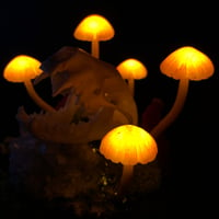 Image 2 of Skunk skull led mushrooms