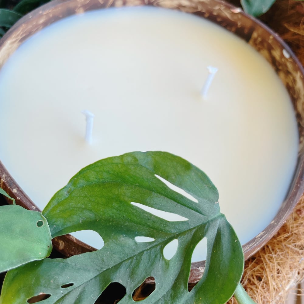 Image of Large Coconut Shell Candle 