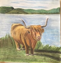 Image 1 of Highland cow drawing 