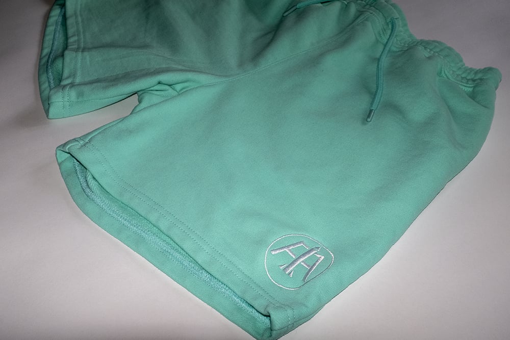 Mint/Teal Aero Logo Embroidered Shorts 
