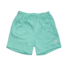 Mint/Teal Aero Logo Embroidered Shorts 