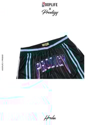 Image 4 of PRODIGY MIAMI ICE SHORTS 