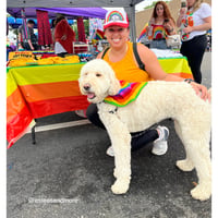 Image 1 of Pet Bandanas & Bowties
