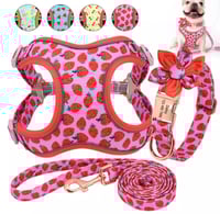 Strawberry printed Dog Collar Leash Harness 