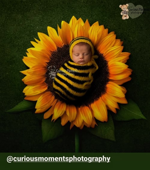Image of Fluffy bee set: footed romper and bonnet. NB