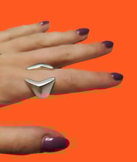 Image 1 of THE AMULET 