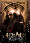 The Wizard Trio A3 Giclée Art Print