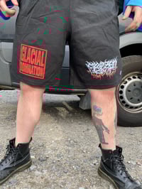 GLACIAL DOMINATION SHORTS
