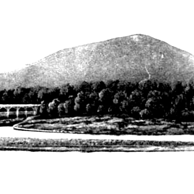 Image of #102 David Emmanuel Vincent Coccagna | Vivesection/Chamomile | C46