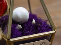 Image 4 of Relic No. 83 -- Dark Garden