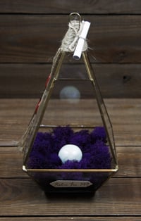 Image 1 of Relic No. 149 -- Summers Gone