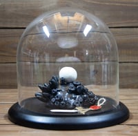 Image 2 of Relic No. 151 -- Family Vacation