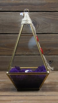 Image 3 of Relic No. 149 -- Summers Gone