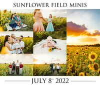 Sunflower Minis 2022