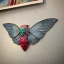 Image 5 of ::Death Cicada::