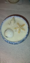 Unscented Seashell Candle 1