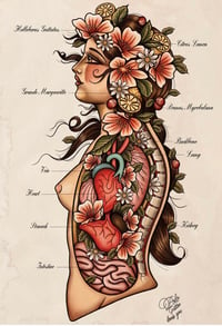 Anatomy and botany